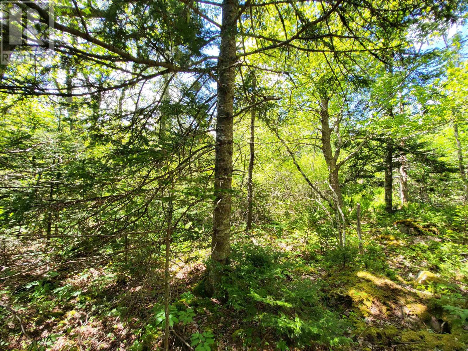 Lot C5 Everetts Way, Hunts Point, Nova Scotia  B0T 1G0 - Photo 18 - 202528234