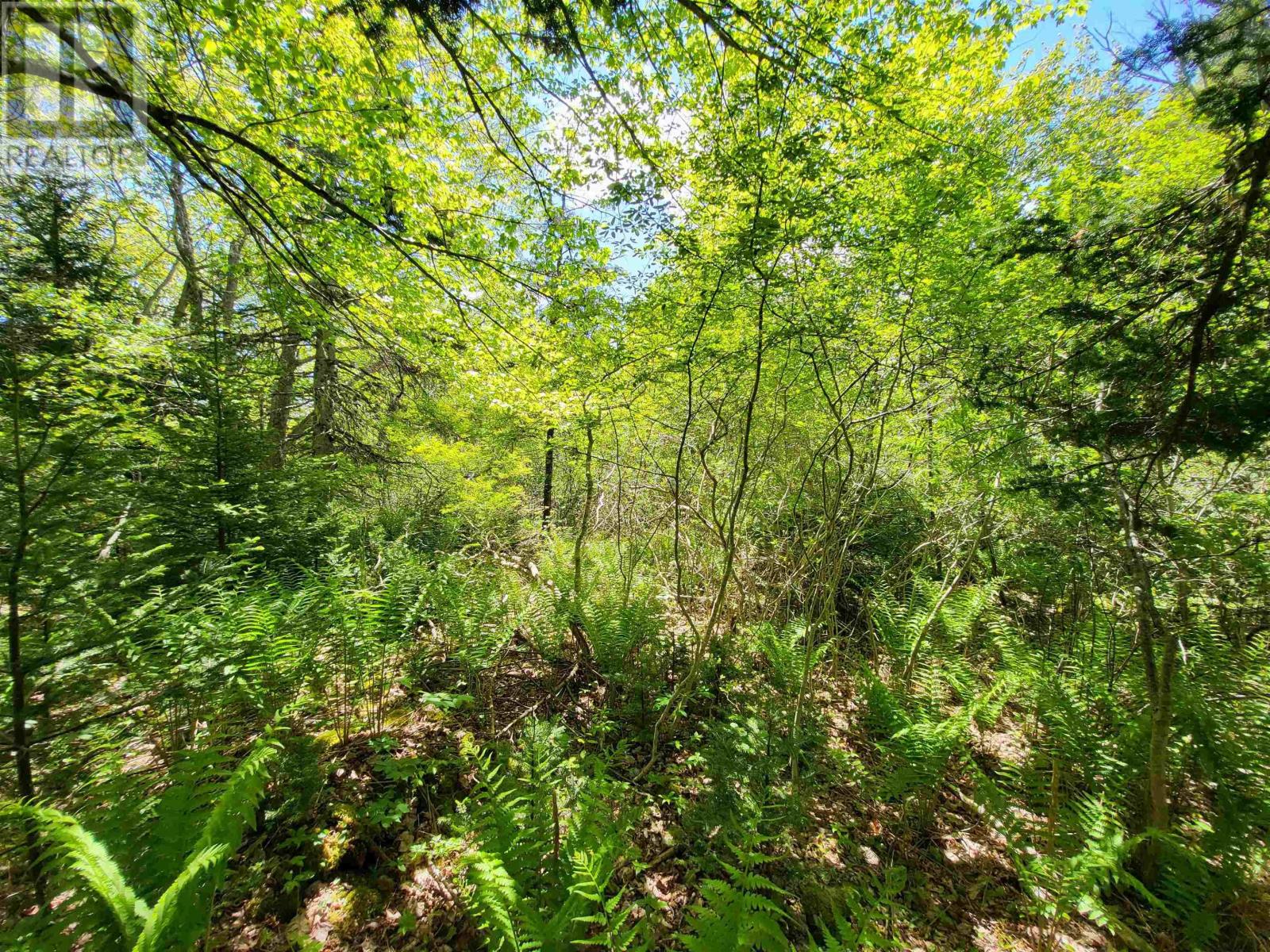 Lot C5 Everetts Way, Hunts Point, Nova Scotia  B0T 1G0 - Photo 19 - 202528234