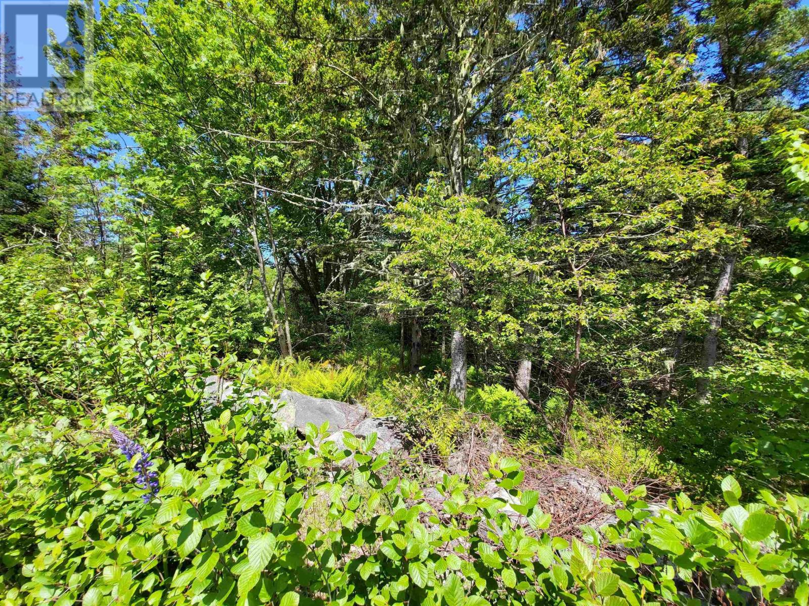 Lot C5 Everetts Way, Hunts Point, Nova Scotia  B0T 1G0 - Photo 23 - 202528234