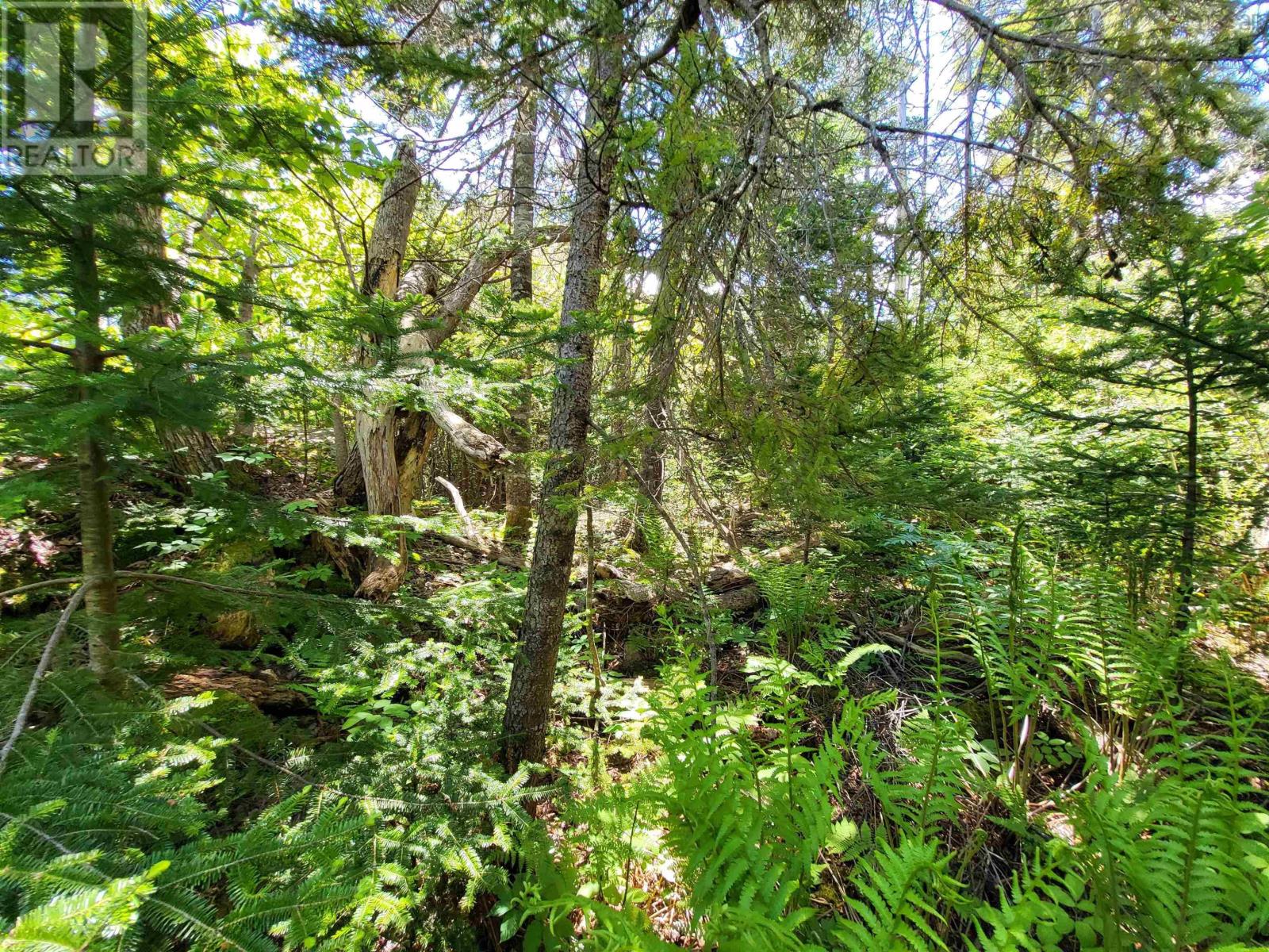 Lot C5 Everetts Way, Hunts Point, Nova Scotia  B0T 1G0 - Photo 9 - 202528234