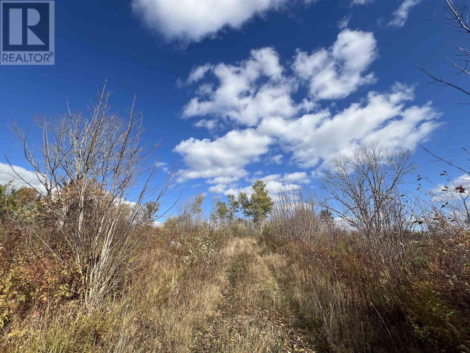 5896 Highway 8, Milford, Nova Scotia  B0S 1A0 - Photo 2 - 202528252