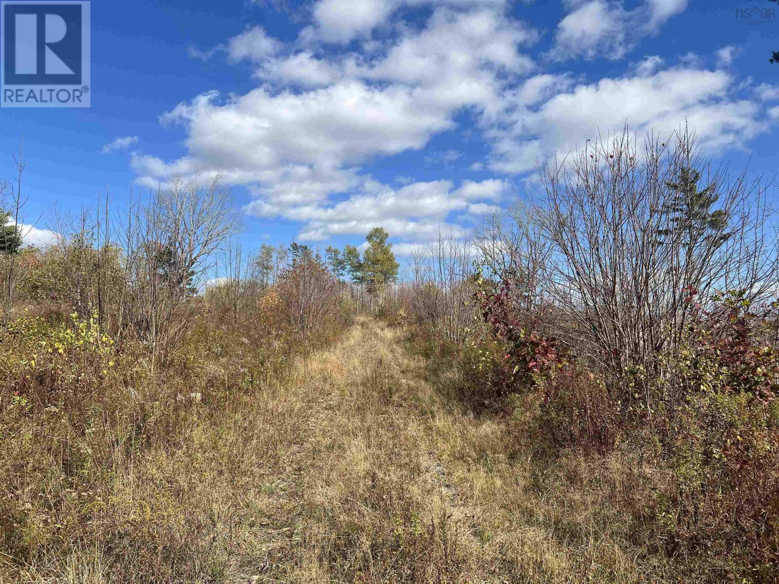 5896 Highway 8, Milford, Nova Scotia  B0S 1A0 - Photo 3 - 202528252