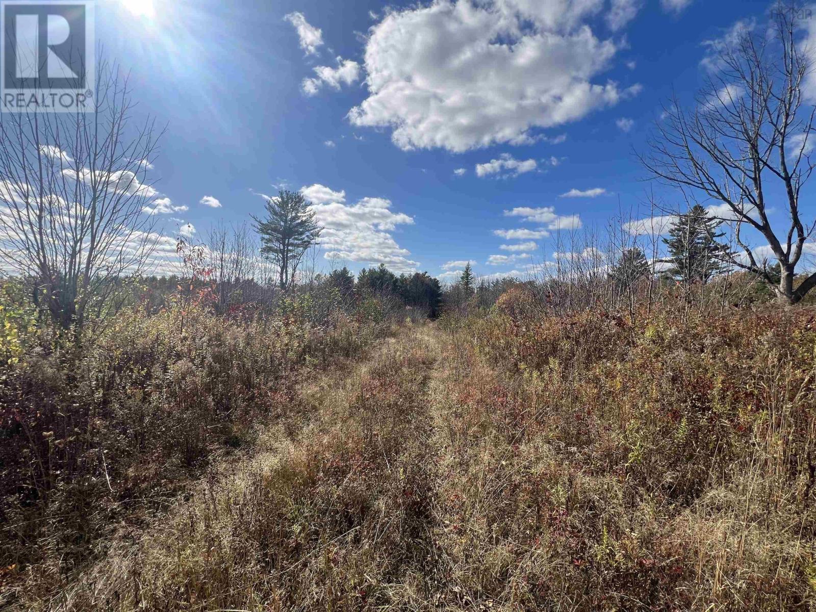 5896 Highway 8, Milford, Nova Scotia  B0S 1A0 - Photo 4 - 202528252