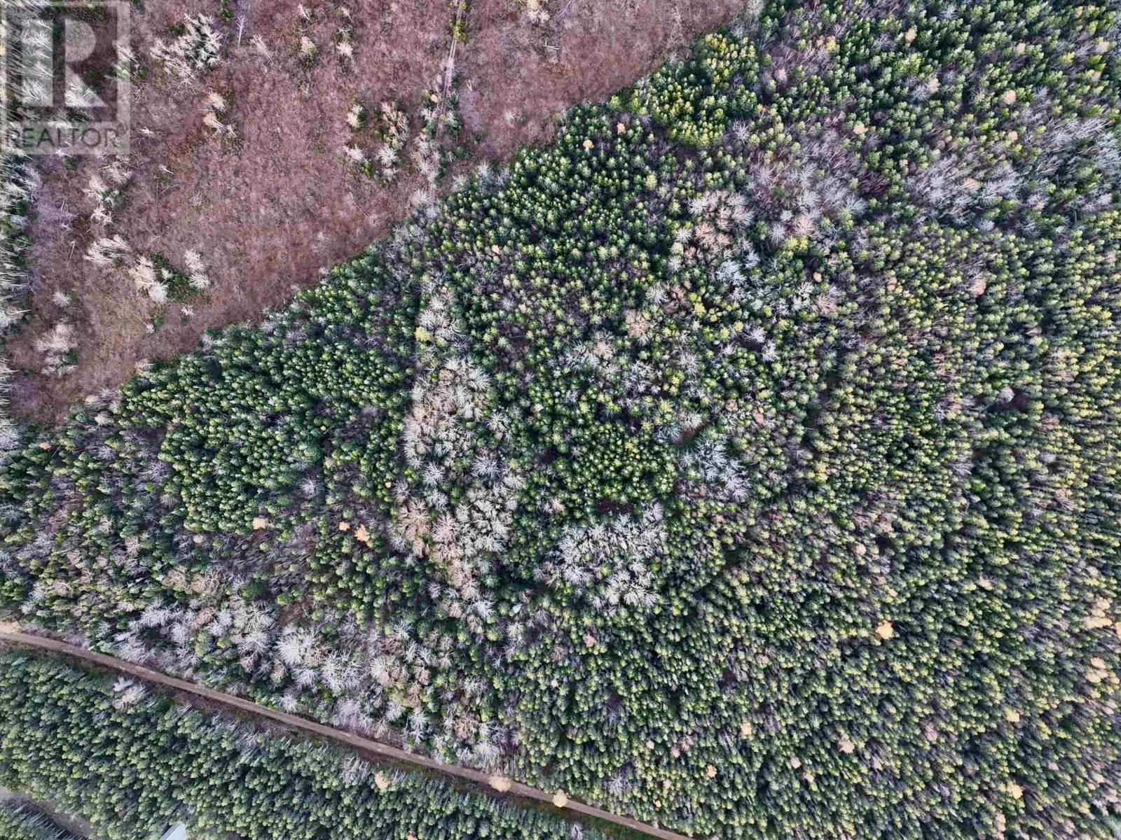 0 Hatchery Road, Margaree Valley, Nova Scotia  B0E 2C0 - Photo 10 - 202528338