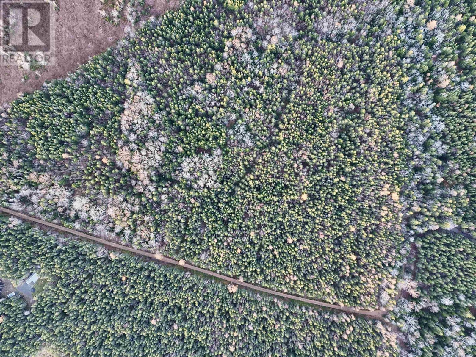 0 Hatchery Road, Margaree Valley, Nova Scotia  B0E 2C0 - Photo 11 - 202528338