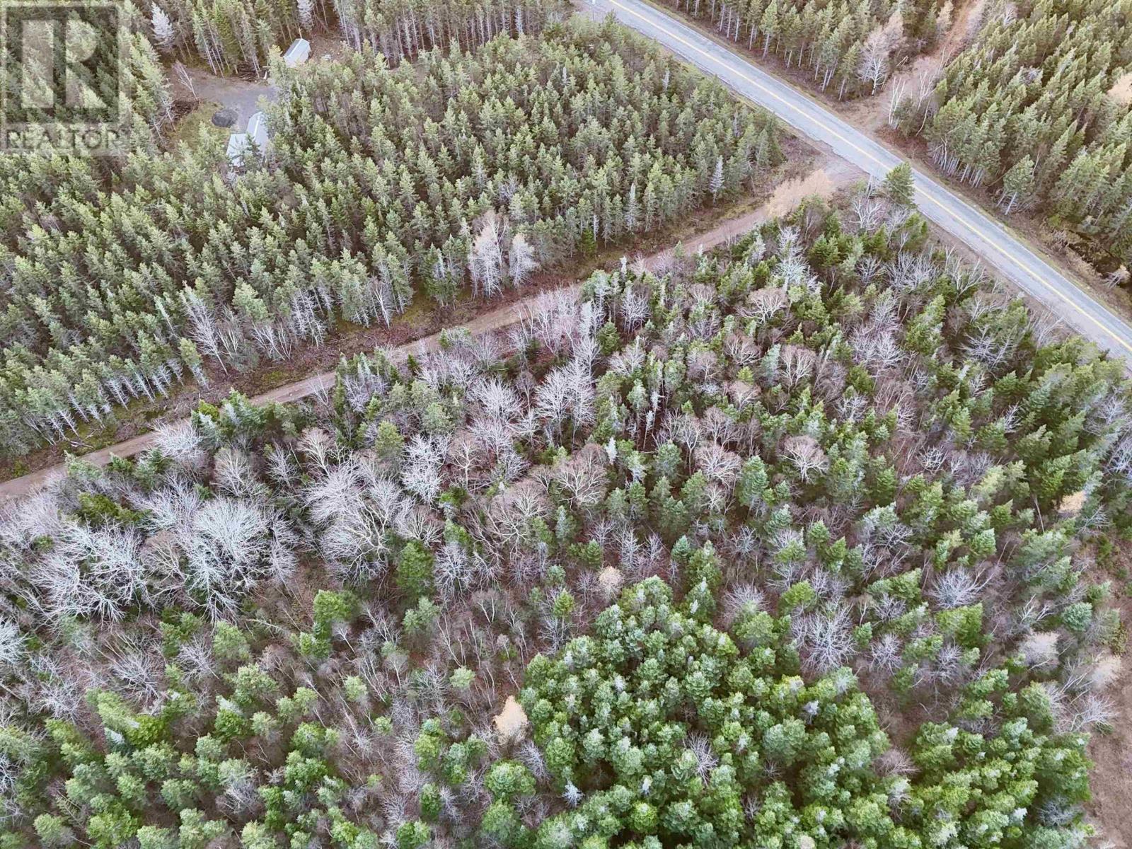 0 Hatchery Road, Margaree Valley, Nova Scotia  B0E 2C0 - Photo 15 - 202528338