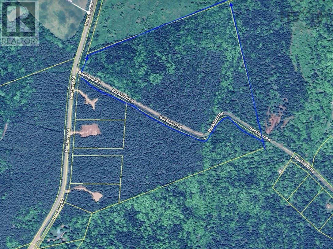 0 Hatchery Road, Margaree Valley, Nova Scotia  B0E 2C0 - Photo 16 - 202528338