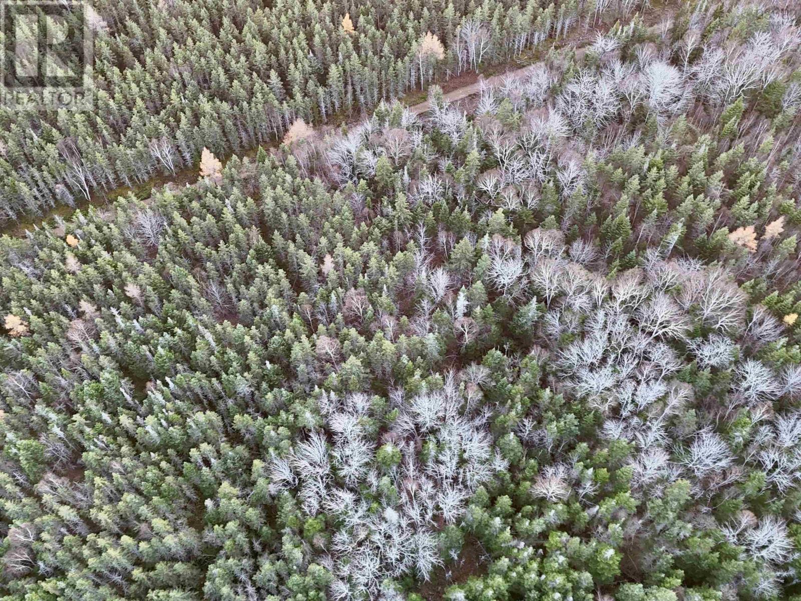 0 Hatchery Road, Margaree Valley, Nova Scotia  B0E 2C0 - Photo 6 - 202528338