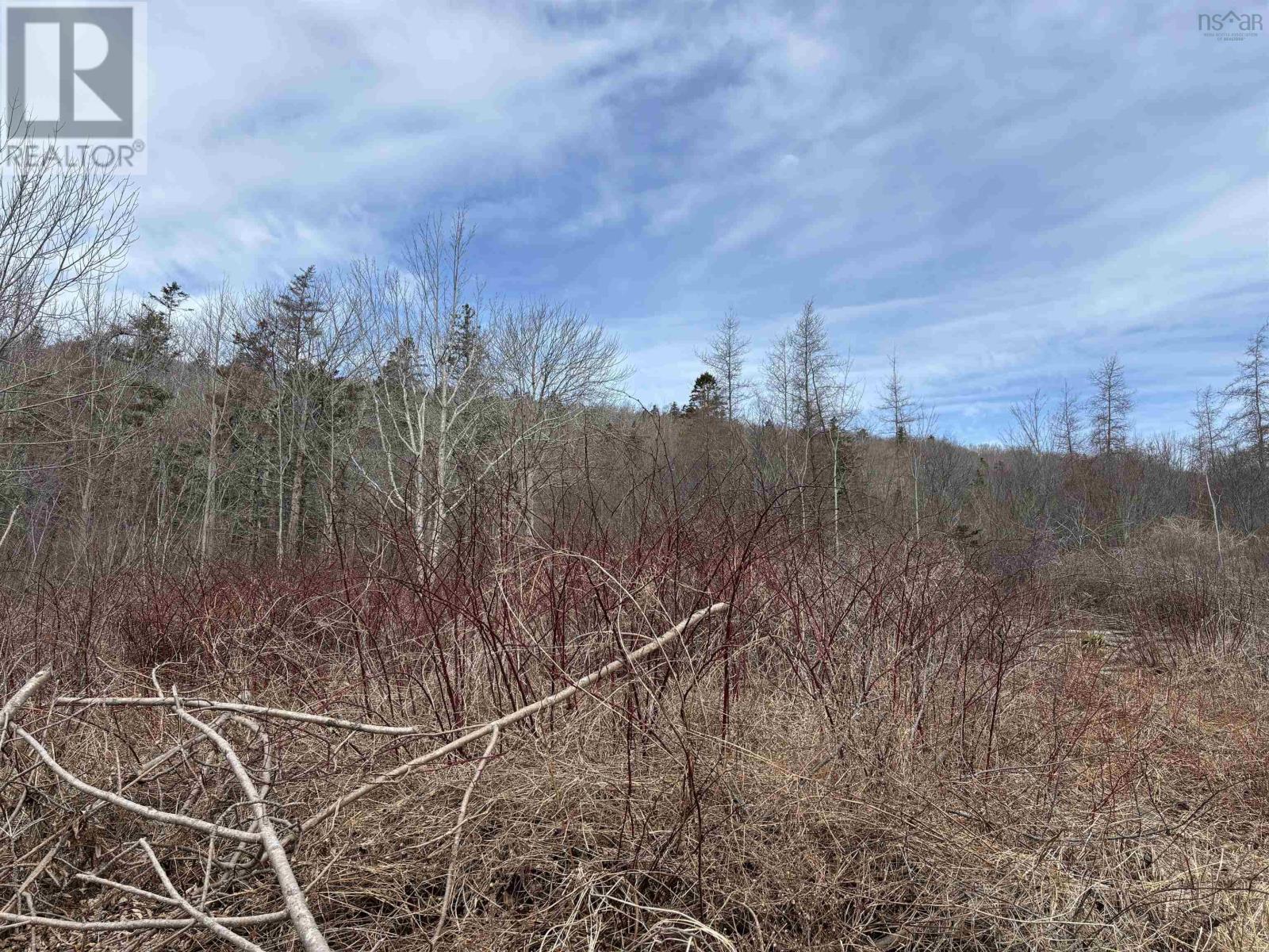 Culloden Road, Mount Pleasant, Nova Scotia  B0V 1A0 - Photo 10 - 202528355