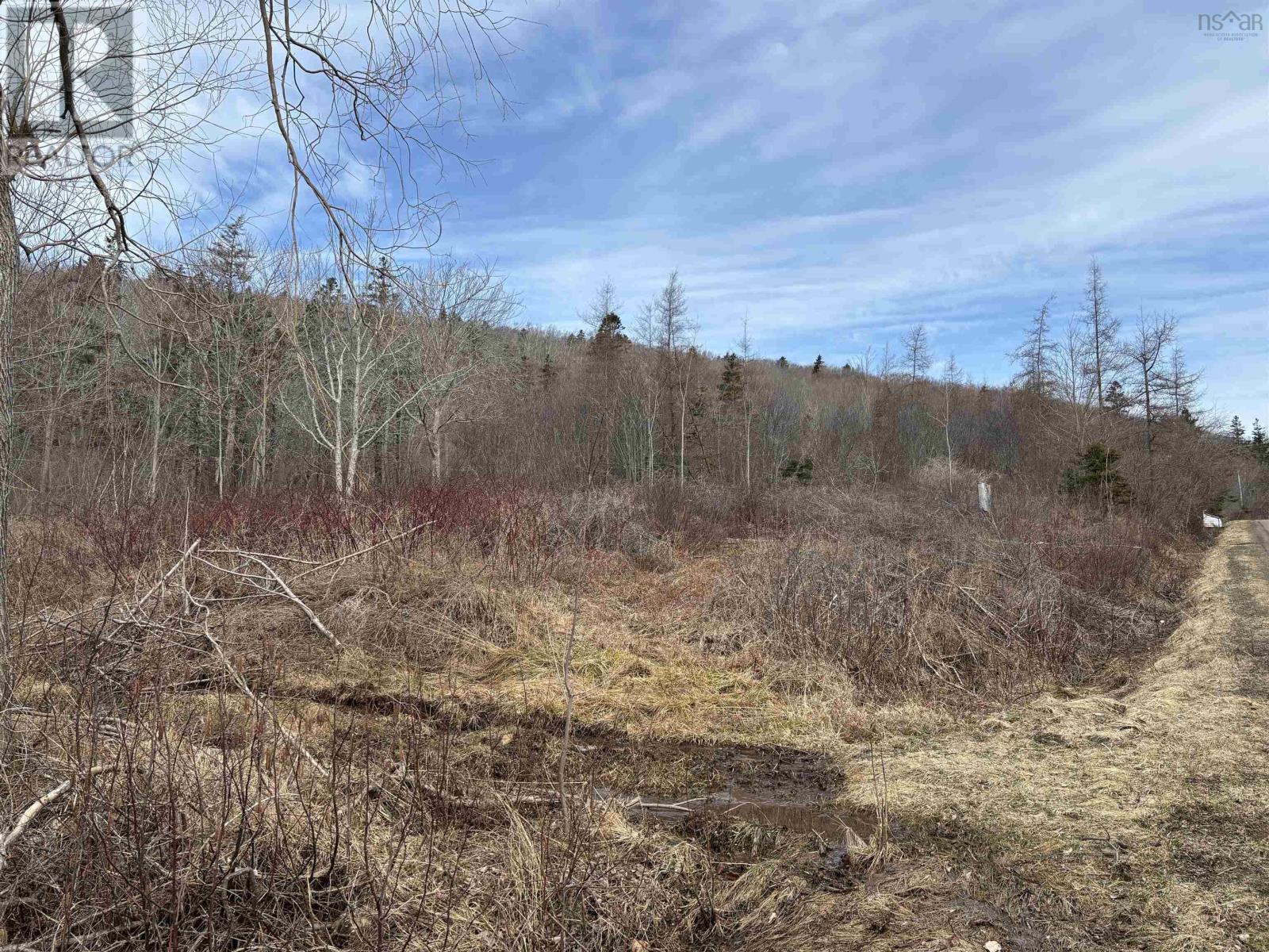 Culloden Road, Mount Pleasant, Nova Scotia  B0V 1A0 - Photo 11 - 202528355