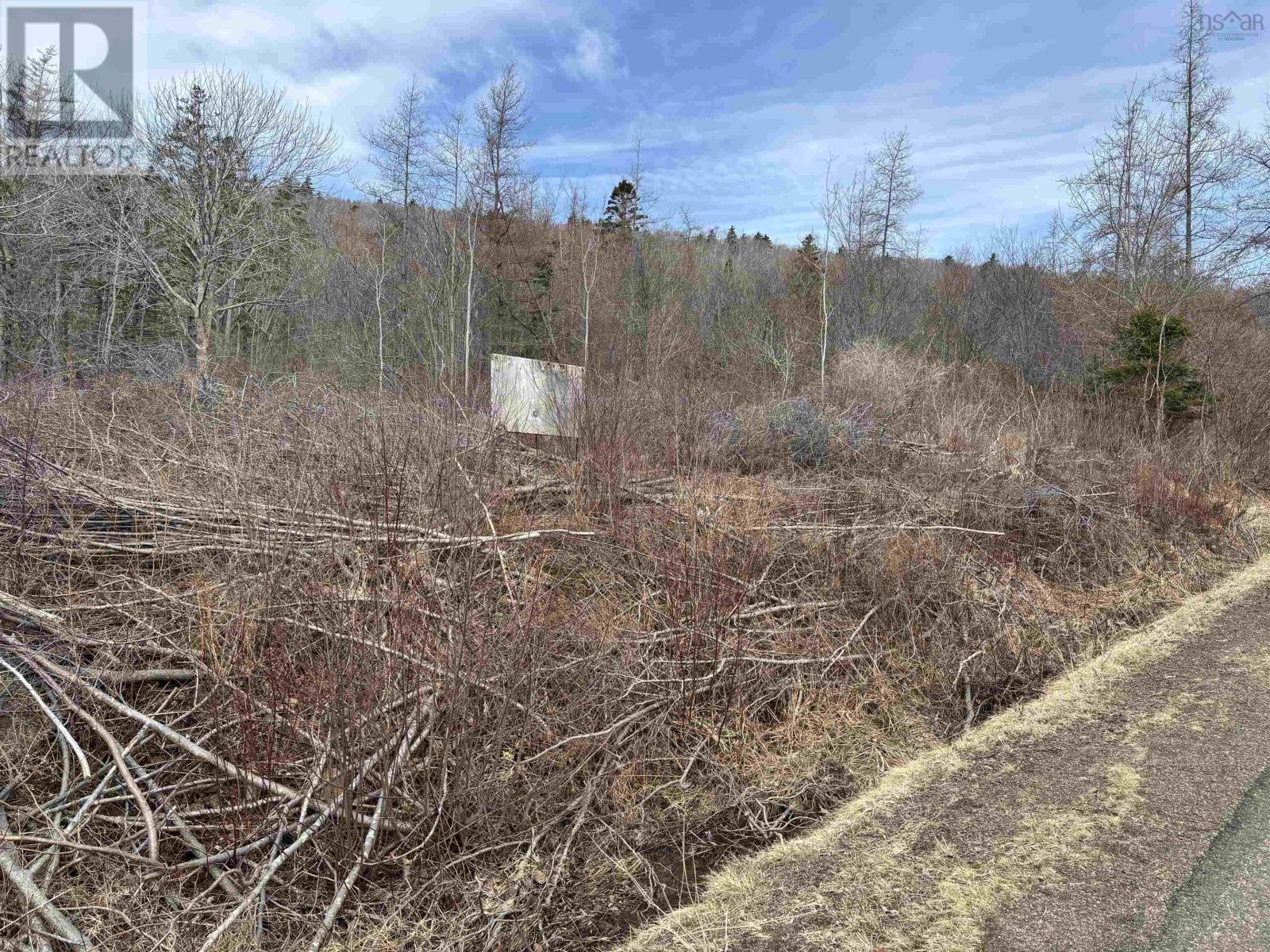 Culloden Road, Mount Pleasant, Nova Scotia  B0V 1A0 - Photo 12 - 202528355