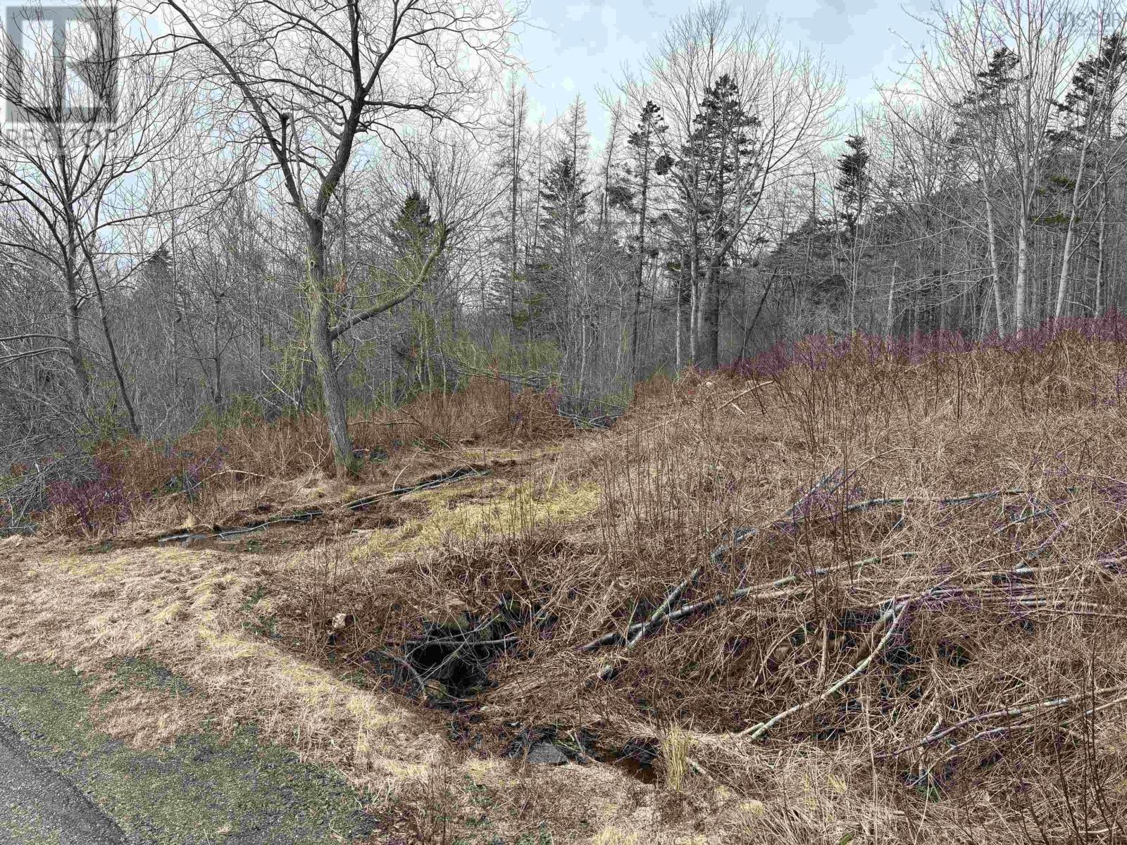 Culloden Road, Mount Pleasant, Nova Scotia  B0V 1A0 - Photo 3 - 202528355