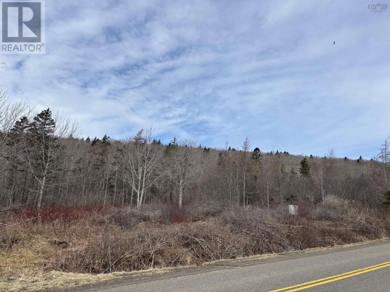 Culloden Road, Mount Pleasant, Nova Scotia  B0V 1A0 - Photo 4 - 202528355