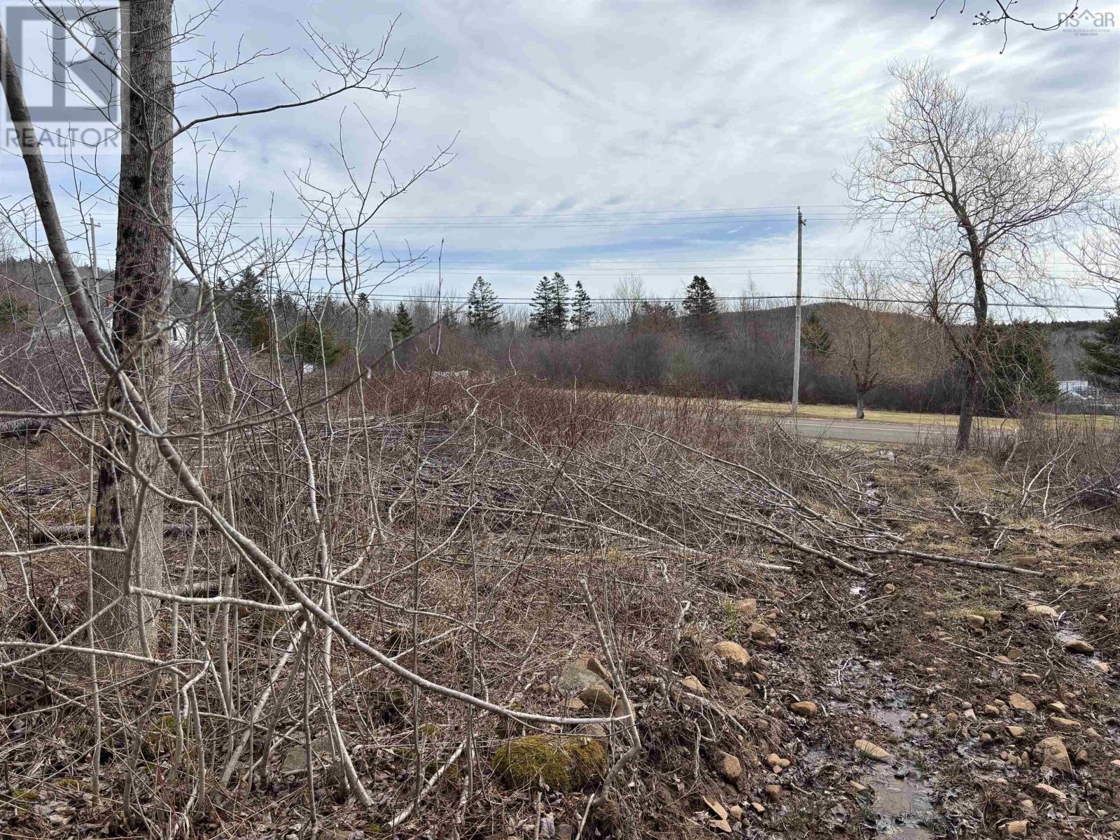 Culloden Road, Mount Pleasant, Nova Scotia  B0V 1A0 - Photo 7 - 202528355