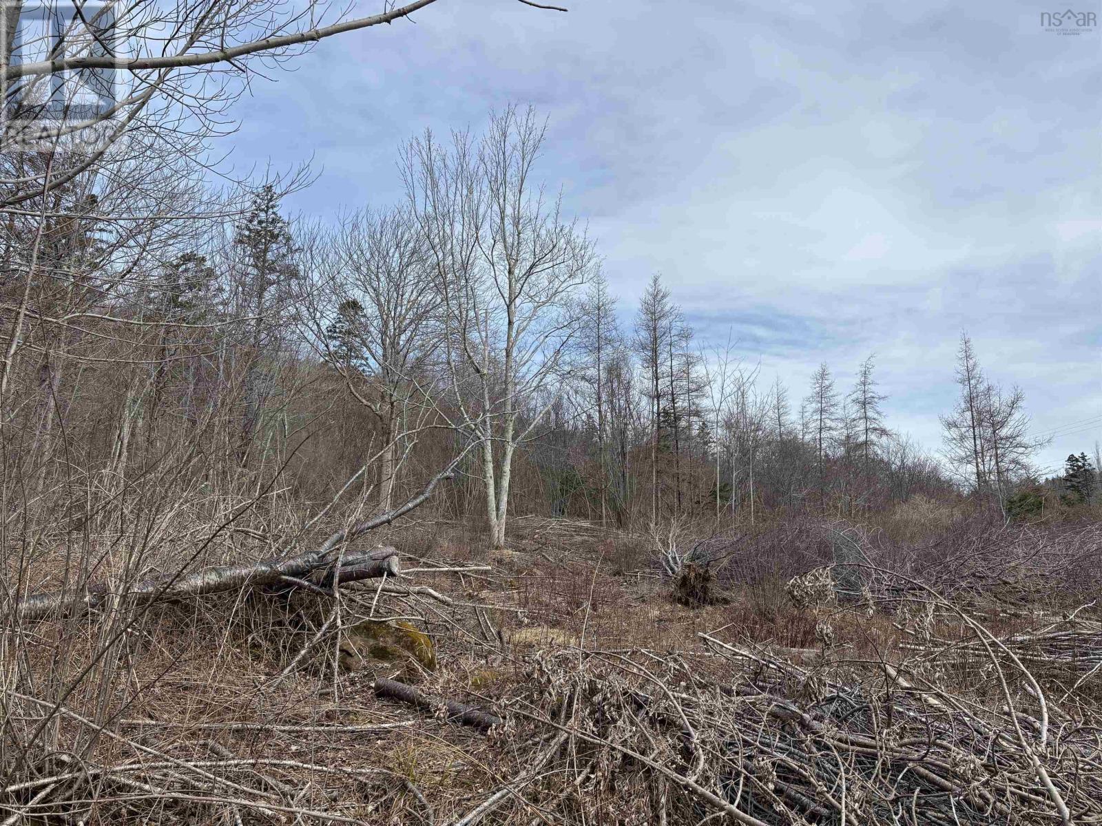 Culloden Road, Mount Pleasant, Nova Scotia  B0V 1A0 - Photo 9 - 202528355