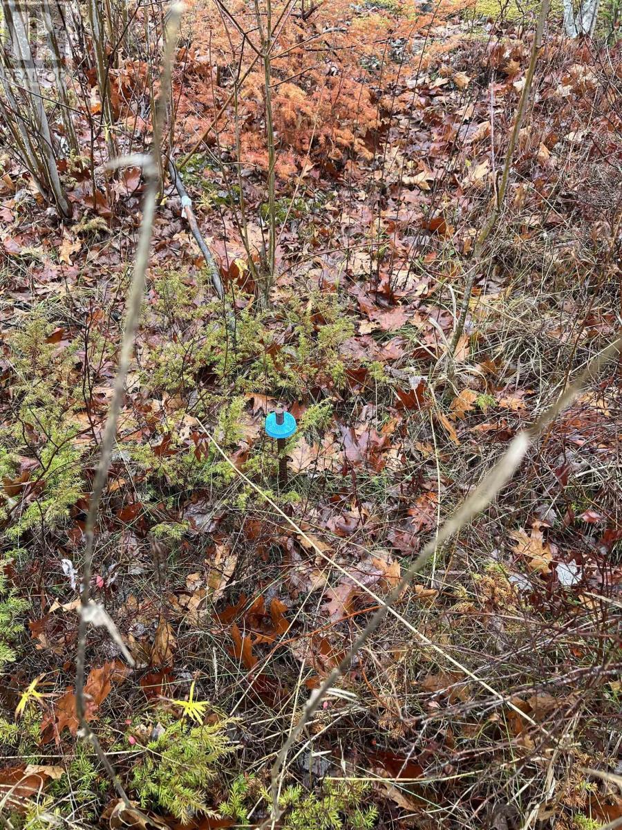 Lot 2021-1 Crocker Road, Harmony, Nova Scotia  B0P 1R0 - Photo 11 - 202528387