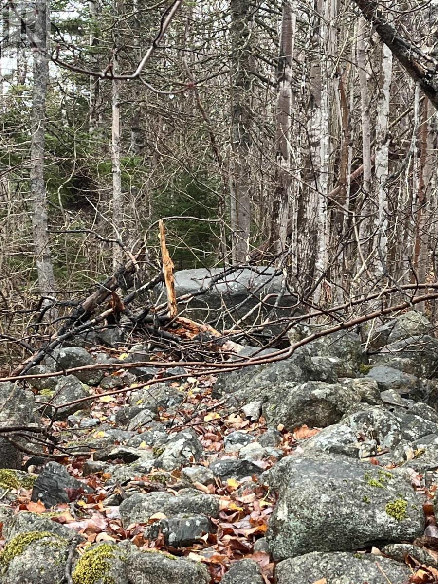 Lot 2021-1 Crocker Road, Harmony, Nova Scotia  B0P 1R0 - Photo 6 - 202528387