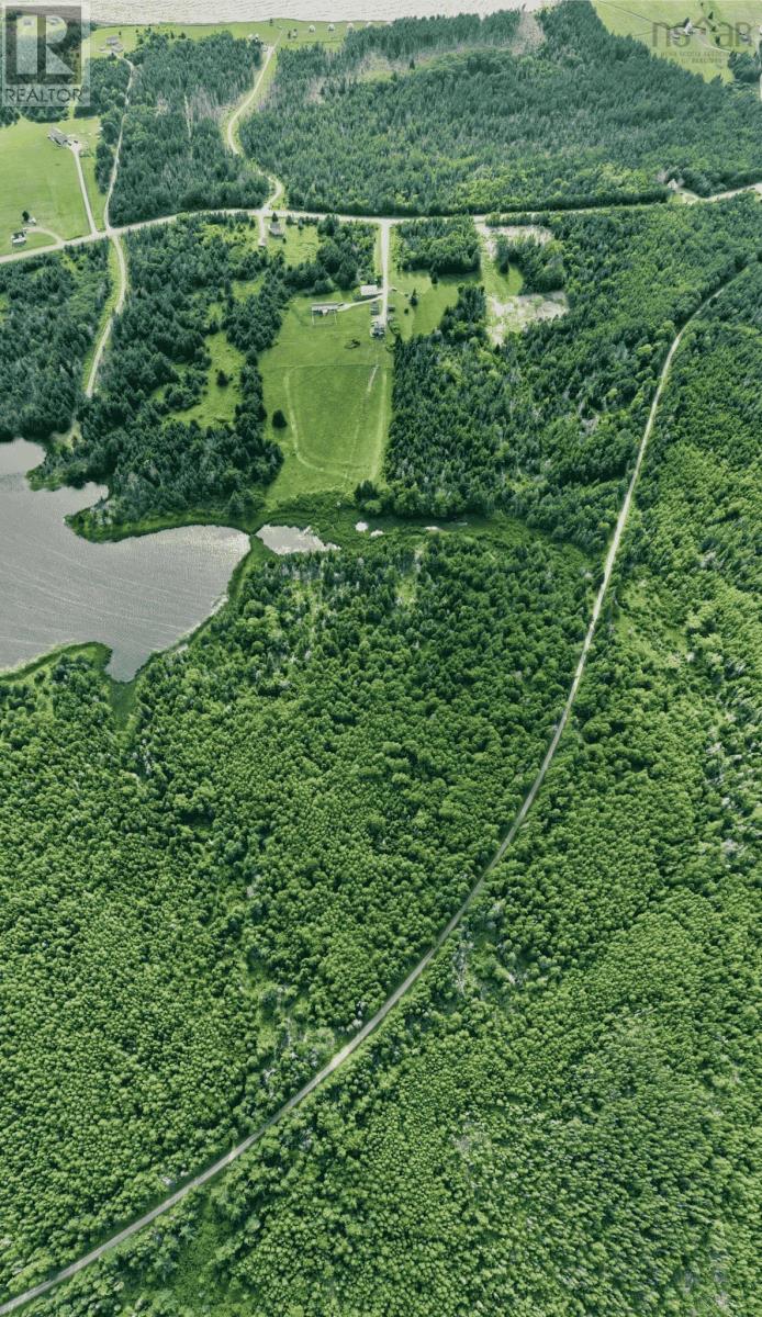 Lot 24-2 Shore Road, Judique, Nova Scotia  B0E 1P0 - Photo 10 - 202528412