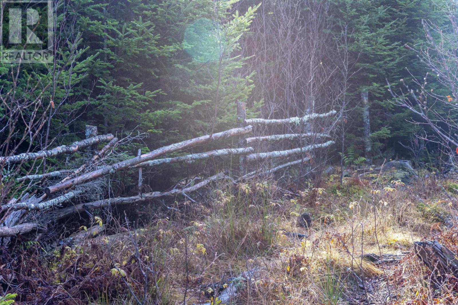 Acreage Sonora Road, Sherbrooke, Nova Scotia  B0J 3C0 - Photo 13 - 202528415