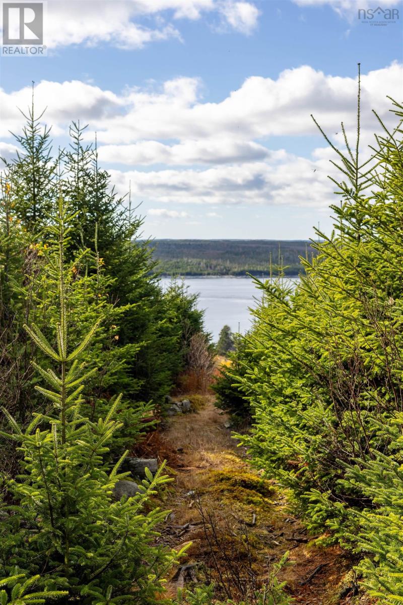 Acreage Sonora Road, Sherbrooke, Nova Scotia  B0J 3C0 - Photo 18 - 202528415