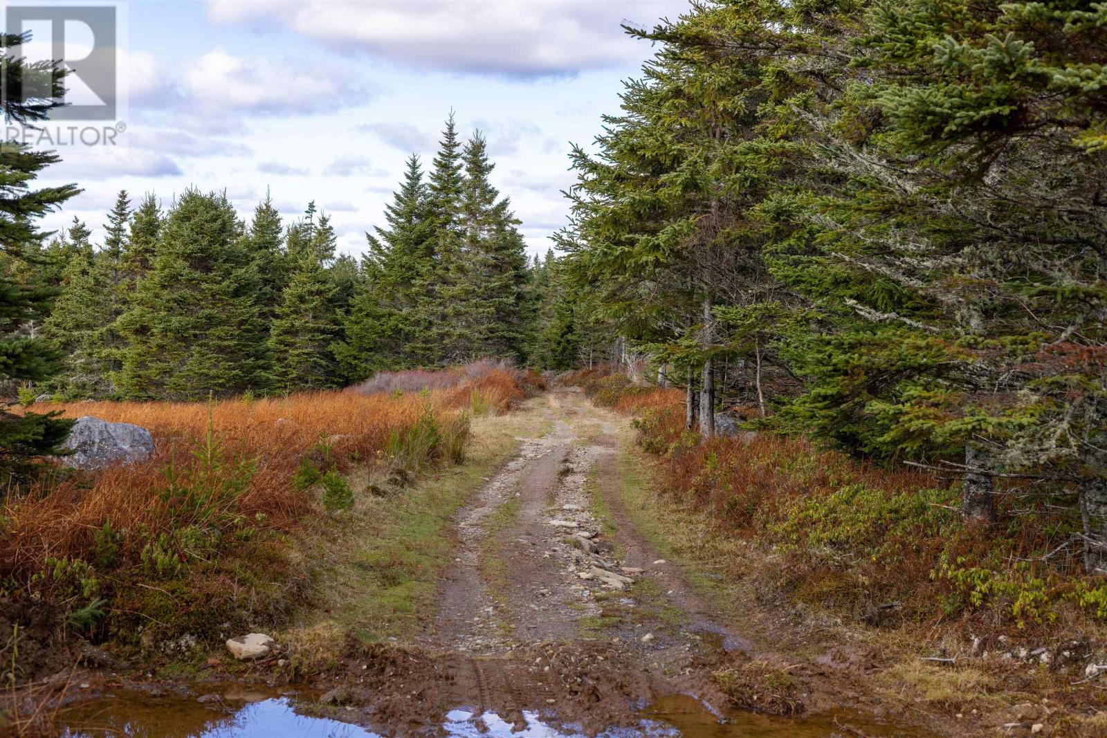 Acreage Sonora Road, Sherbrooke, Nova Scotia  B0J 3C0 - Photo 39 - 202528415
