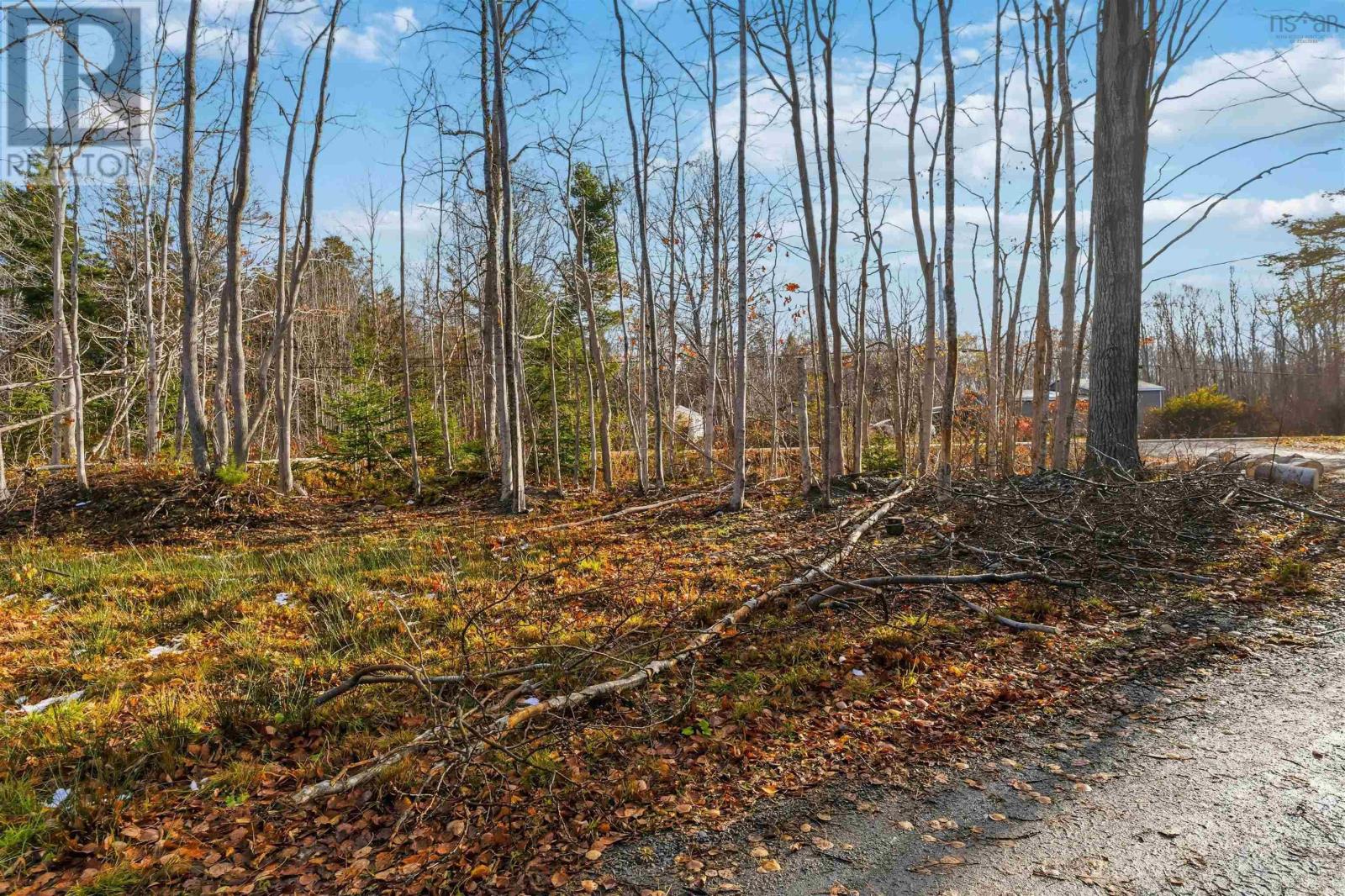 788 Purdy Road, Waldeck West, Nova Scotia  B0S 1J0 - Photo 5 - 202528454