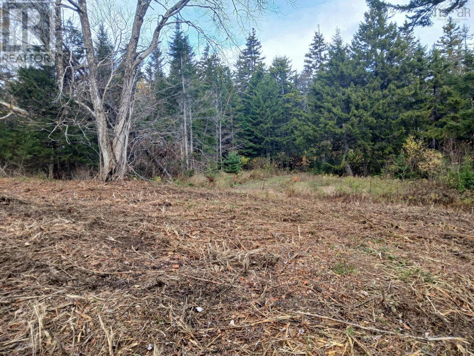 8c Bayview Court, Two Islands, Nova Scotia  B0M 1S0 - Photo 5 - 202528597