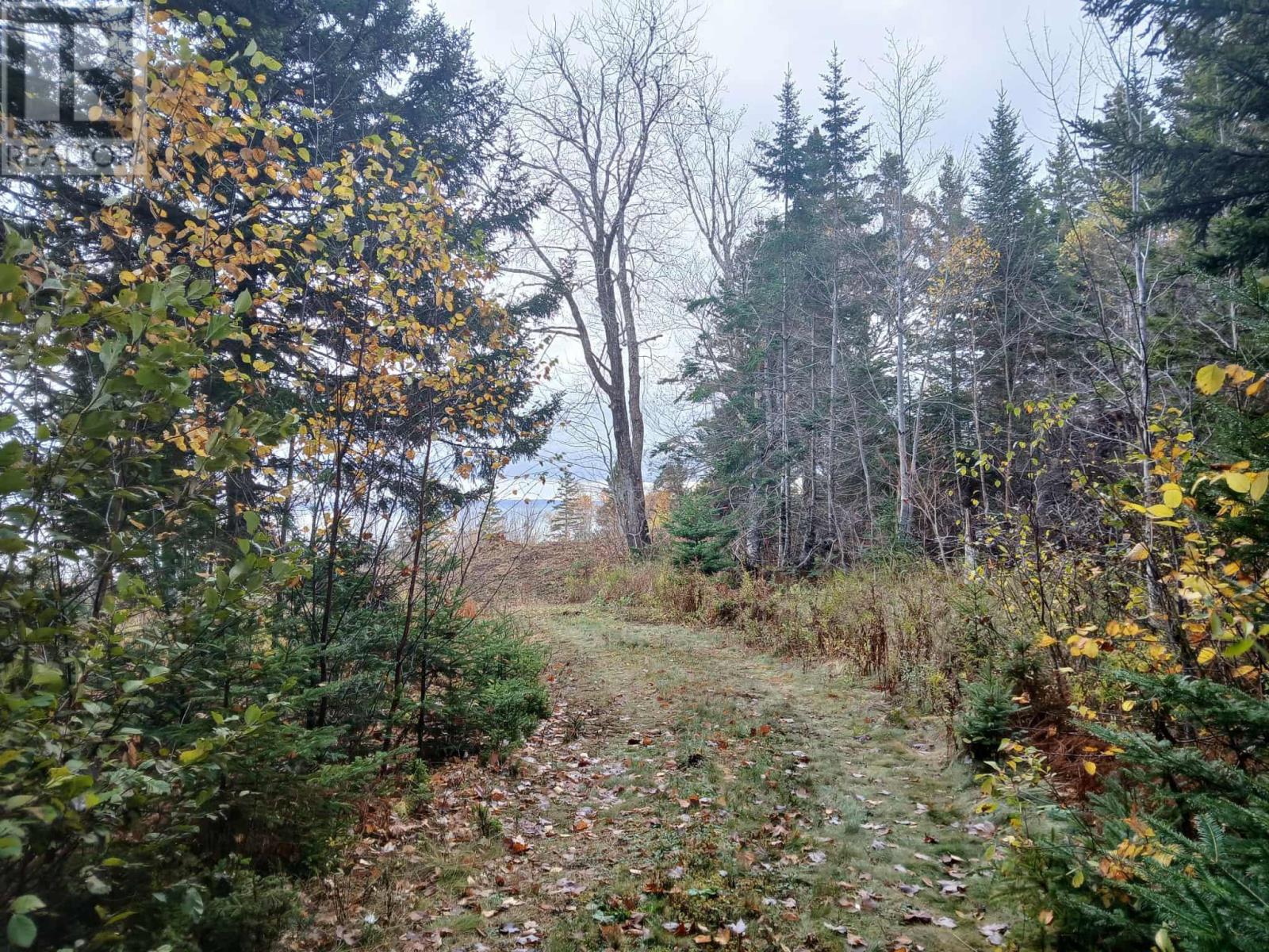 8c Bayview Court, Two Islands, Nova Scotia  B0M 1S0 - Photo 8 - 202528597