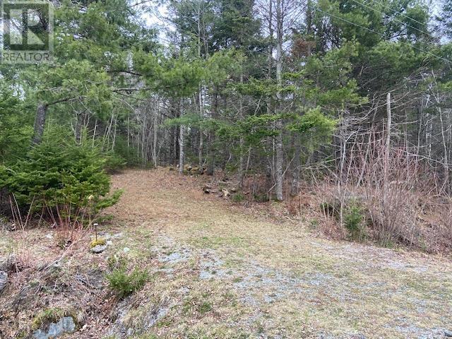 645 East Sable Road, East Sable River, Nova Scotia  B0T 1V0 - Photo 35 - 202528678