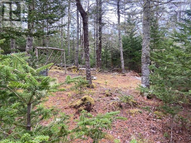 645 East Sable Road, East Sable River, Nova Scotia  B0T 1V0 - Photo 38 - 202528678