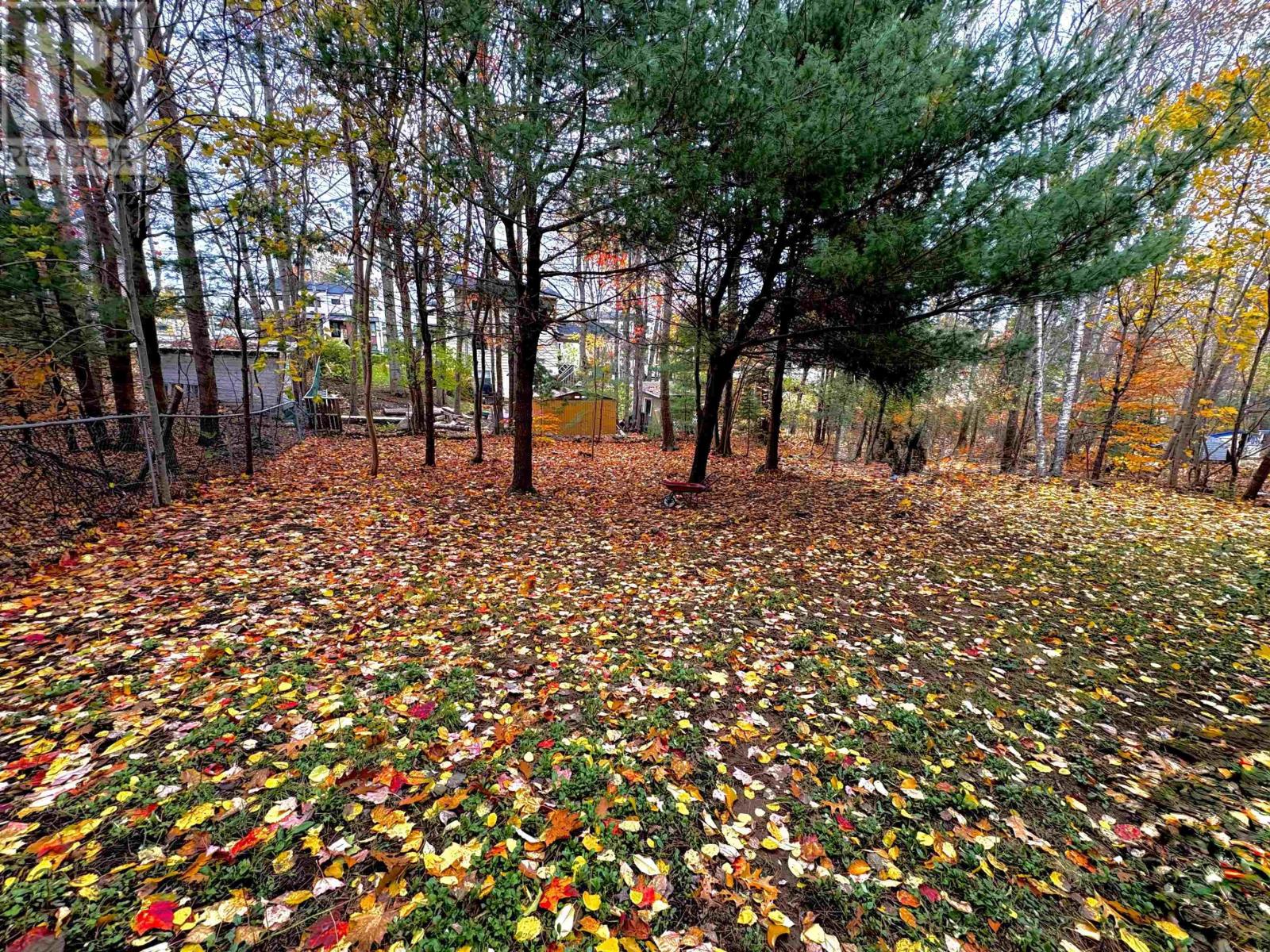 14 Dublin Avenue, Bridgewater, Nova Scotia  B4V 1Z5 - Photo 17 - 202528751