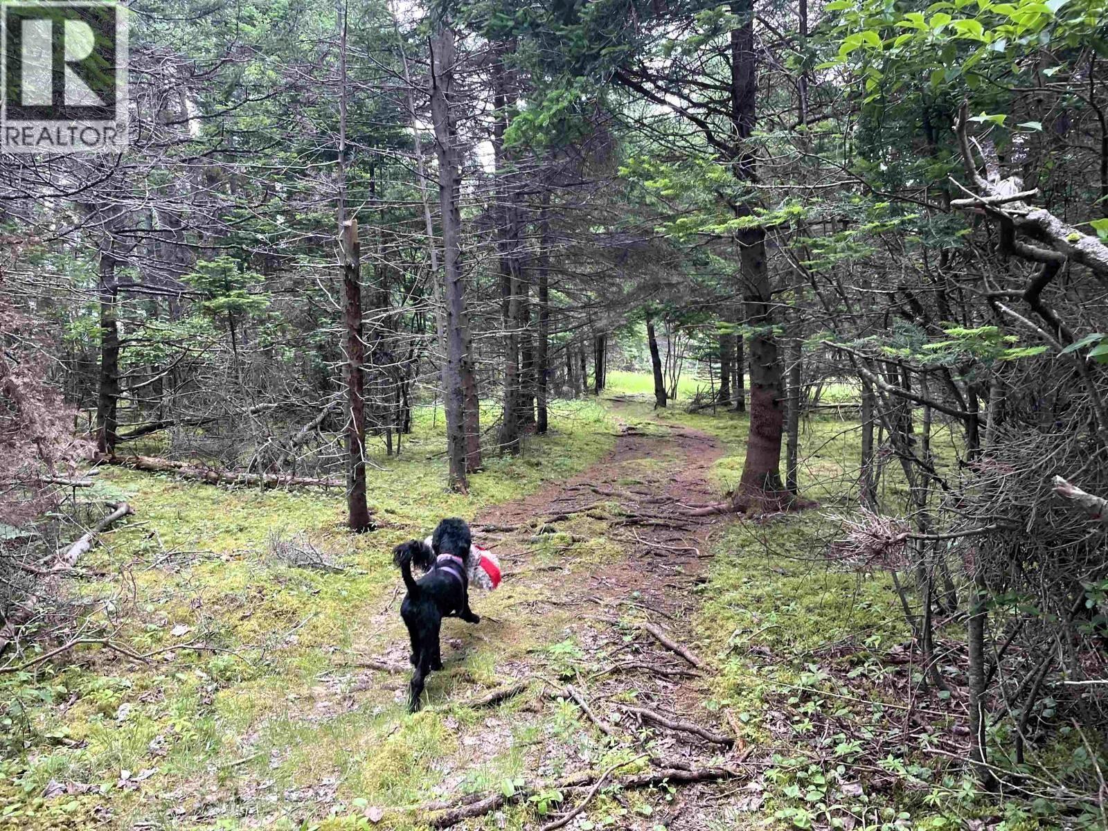 3067 320 Highway, D'escousse, Nova Scotia  B0E 1K0 - Photo 46 - 202528774