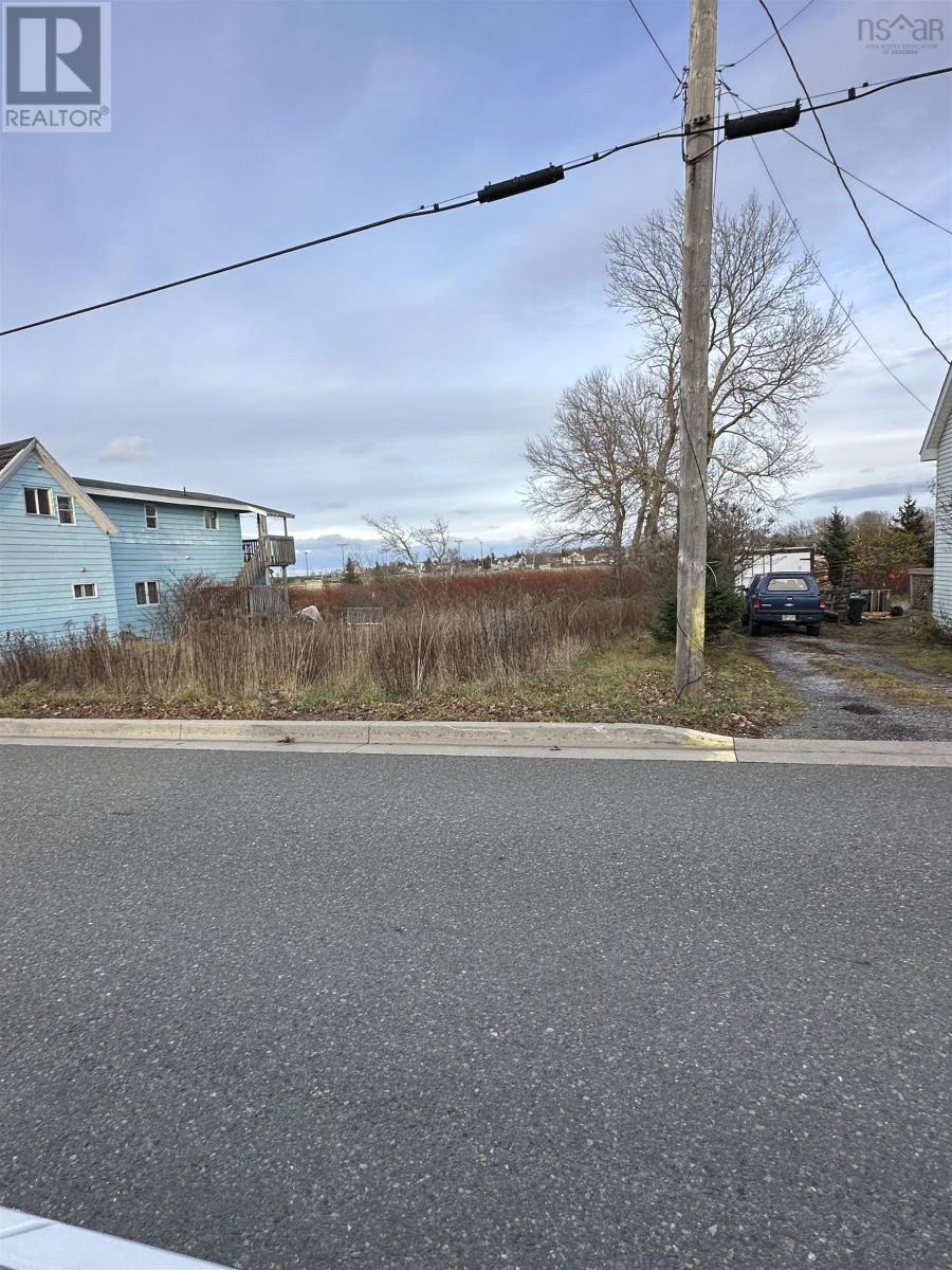 17 Guy Street, Sydney Mines, Nova Scotia  B1V 2N5 - Photo 3 - 202528780