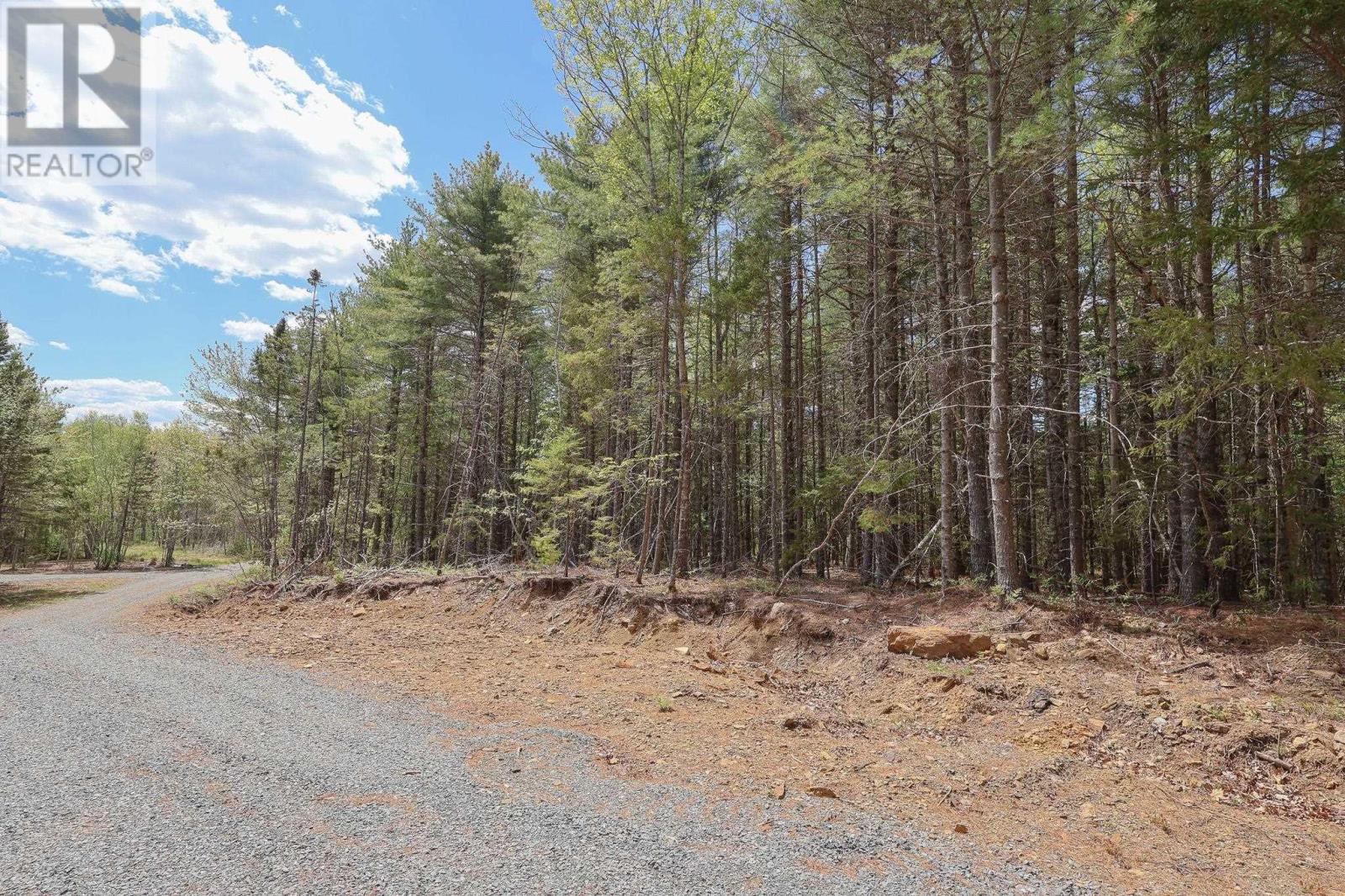 Lot 101 Cleversey Ridge Park, Fauxburg, Nova Scotia  B0J 2C0 - Photo 4 - 202528882