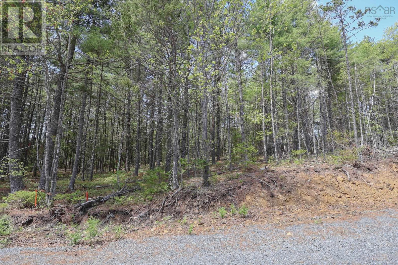 Lot 101 Cleversey Ridge Park, Fauxburg, Nova Scotia  B0J 2C0 - Photo 6 - 202528882