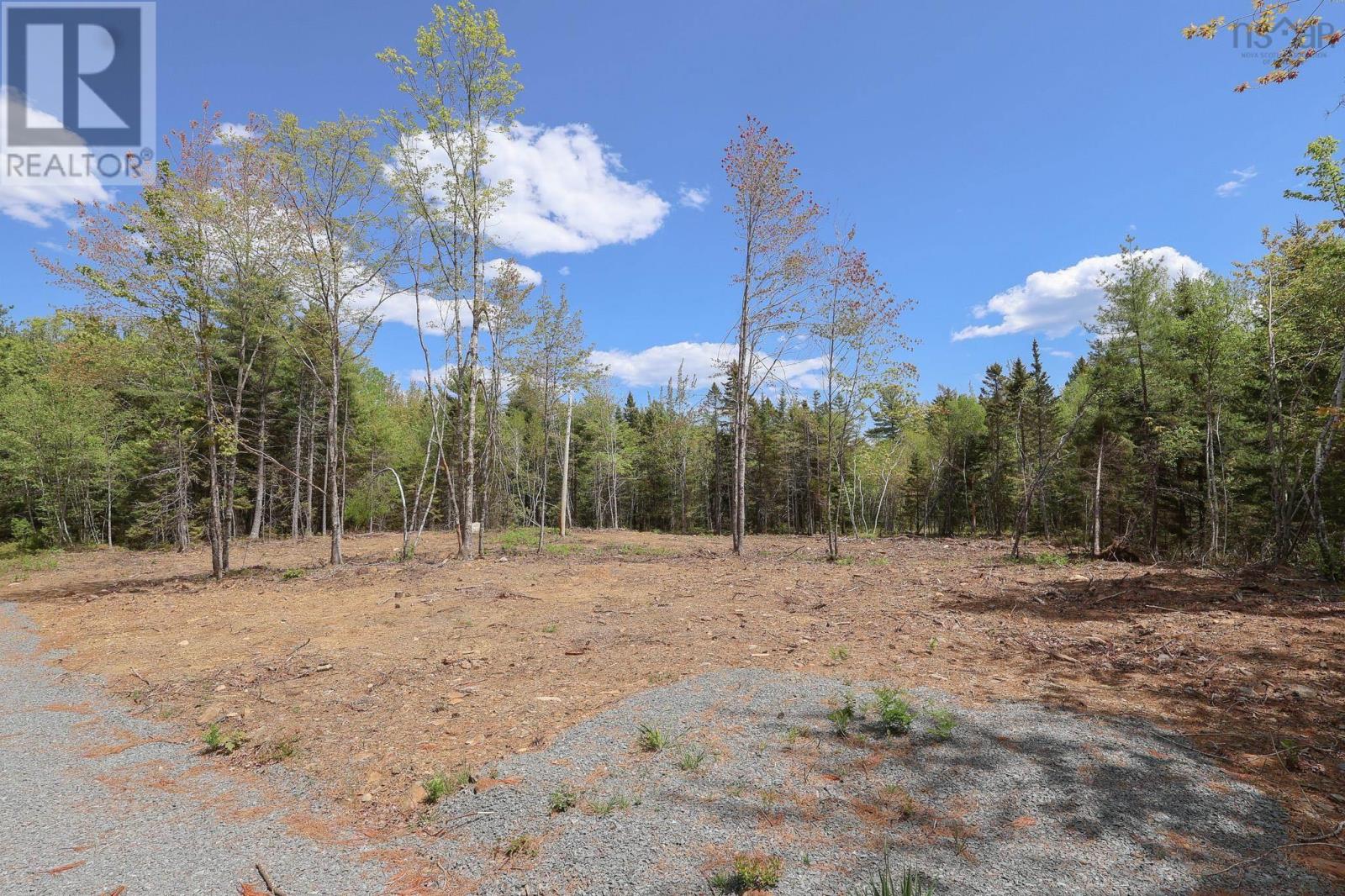 Lot 107 Cleversey Ridge Park, Fauxburg, Nova Scotia  B0J 2C0 - Photo 4 - 202528885