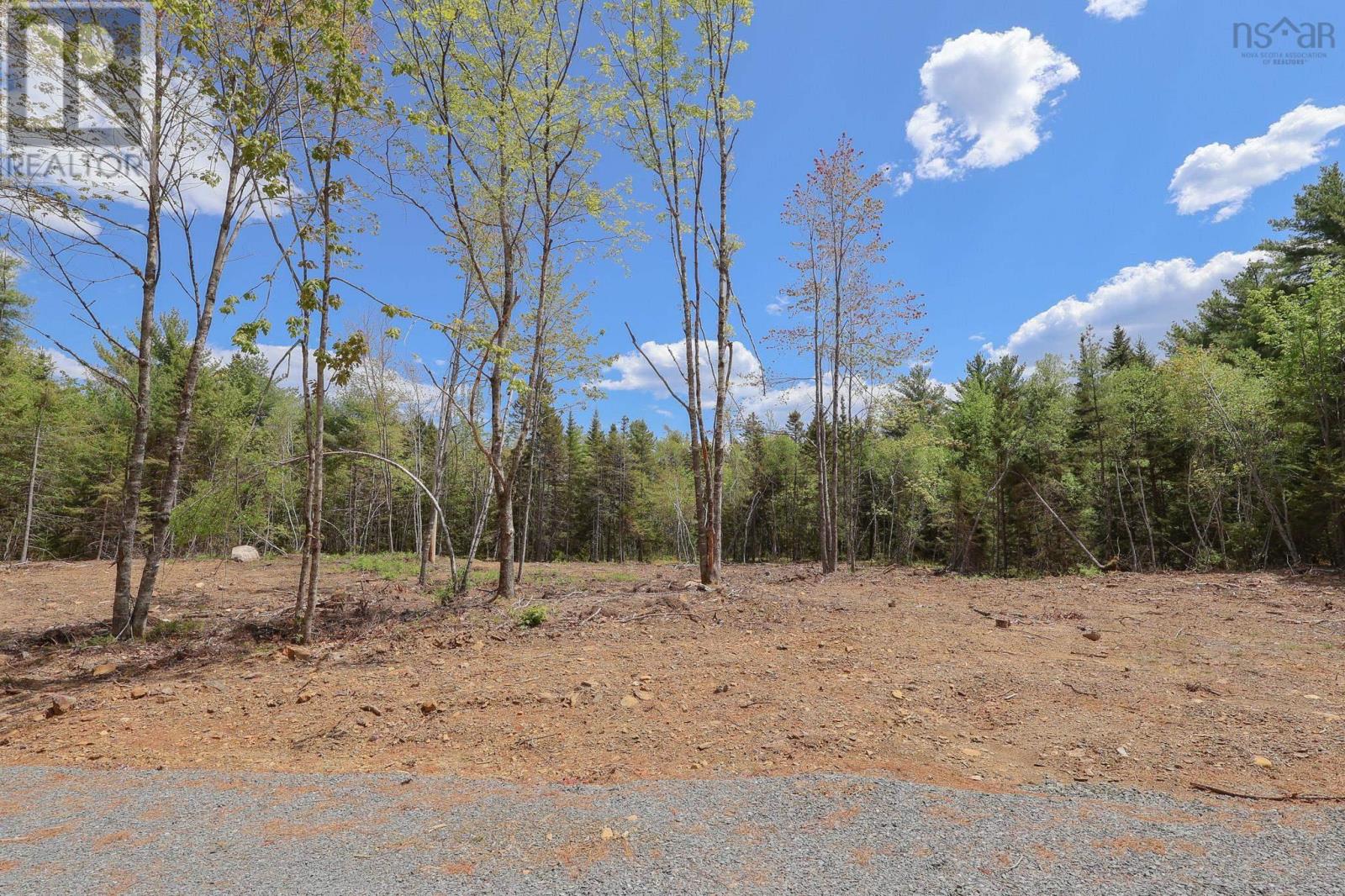 Lot 107 Cleversey Ridge Park, Fauxburg, Nova Scotia  B0J 2C0 - Photo 5 - 202528885