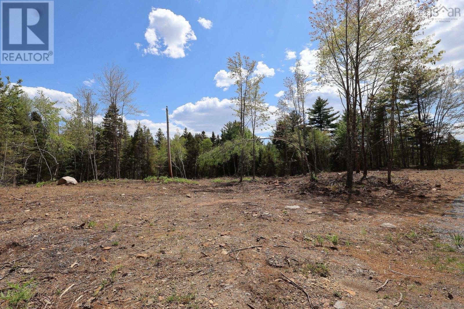 Lot 107 Cleversey Ridge Park, Fauxburg, Nova Scotia  B0J 2C0 - Photo 8 - 202528885