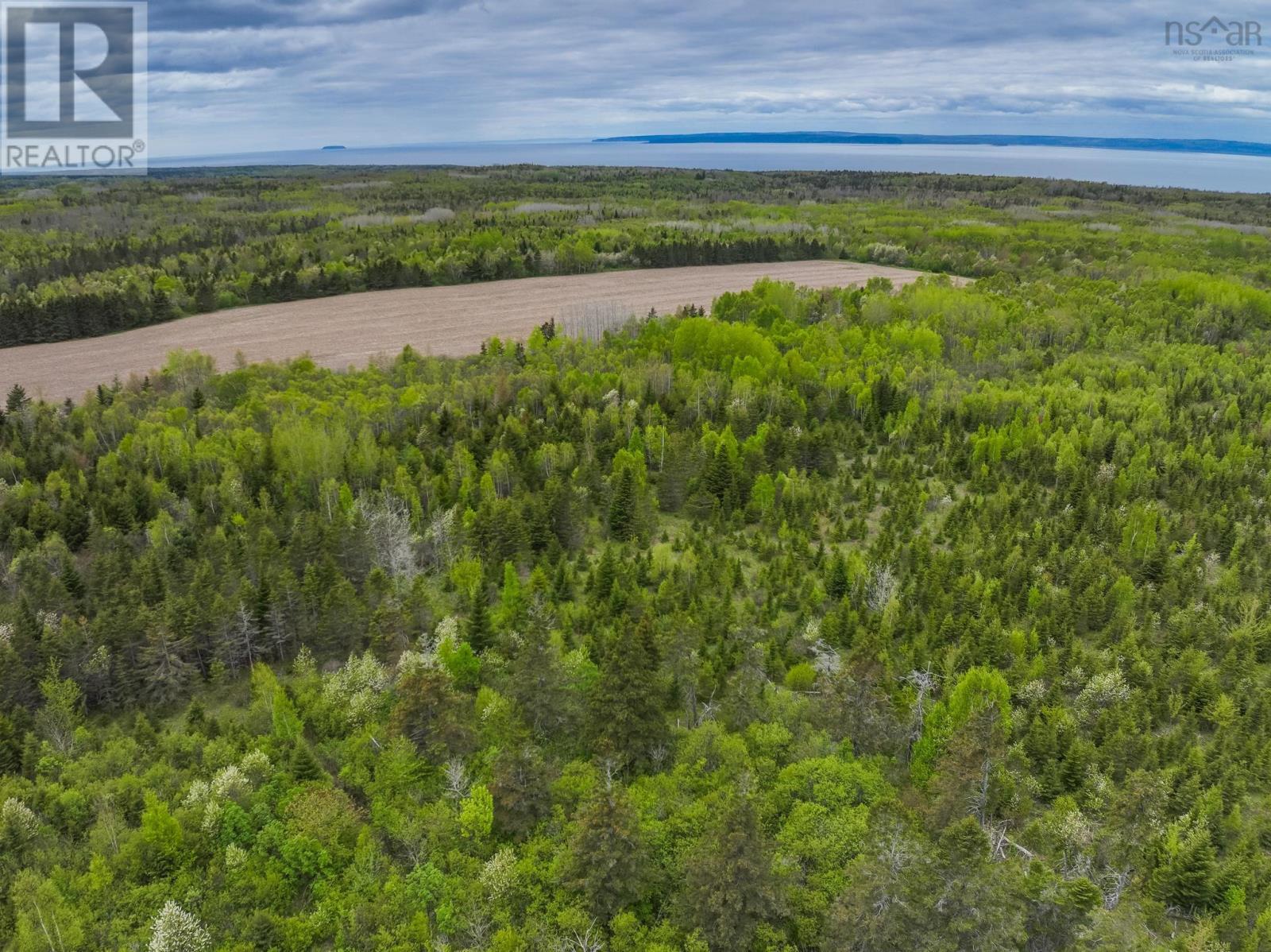 Lot 4 Baxters Harbour Road, Baxters Harbour, Nova Scotia  B0P 1H0 - Photo 10 - 202528888