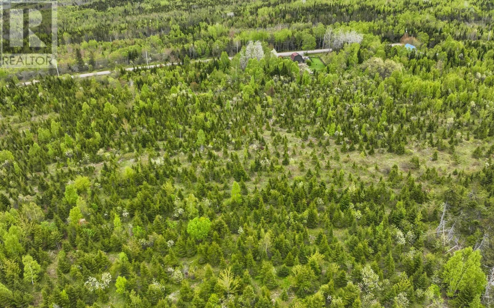 Lot 4 Baxters Harbour Road, Baxters Harbour, Nova Scotia  B0P 1H0 - Photo 14 - 202528888