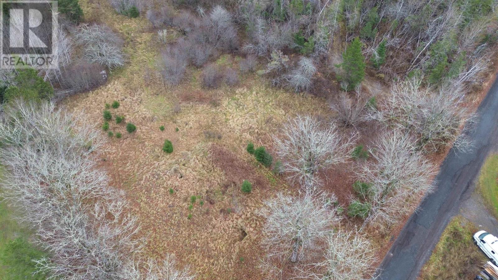 34 Spring Street, Londonderry, Nova Scotia  B0M 1L0 - Photo 4 - 202528894
