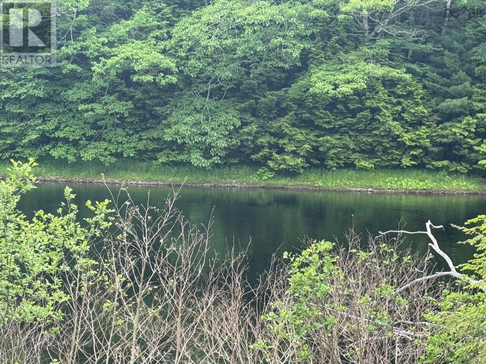 A A Highway 10, Cookville, Nova Scotia  B0R 1E0 - Photo 5 - 202528922