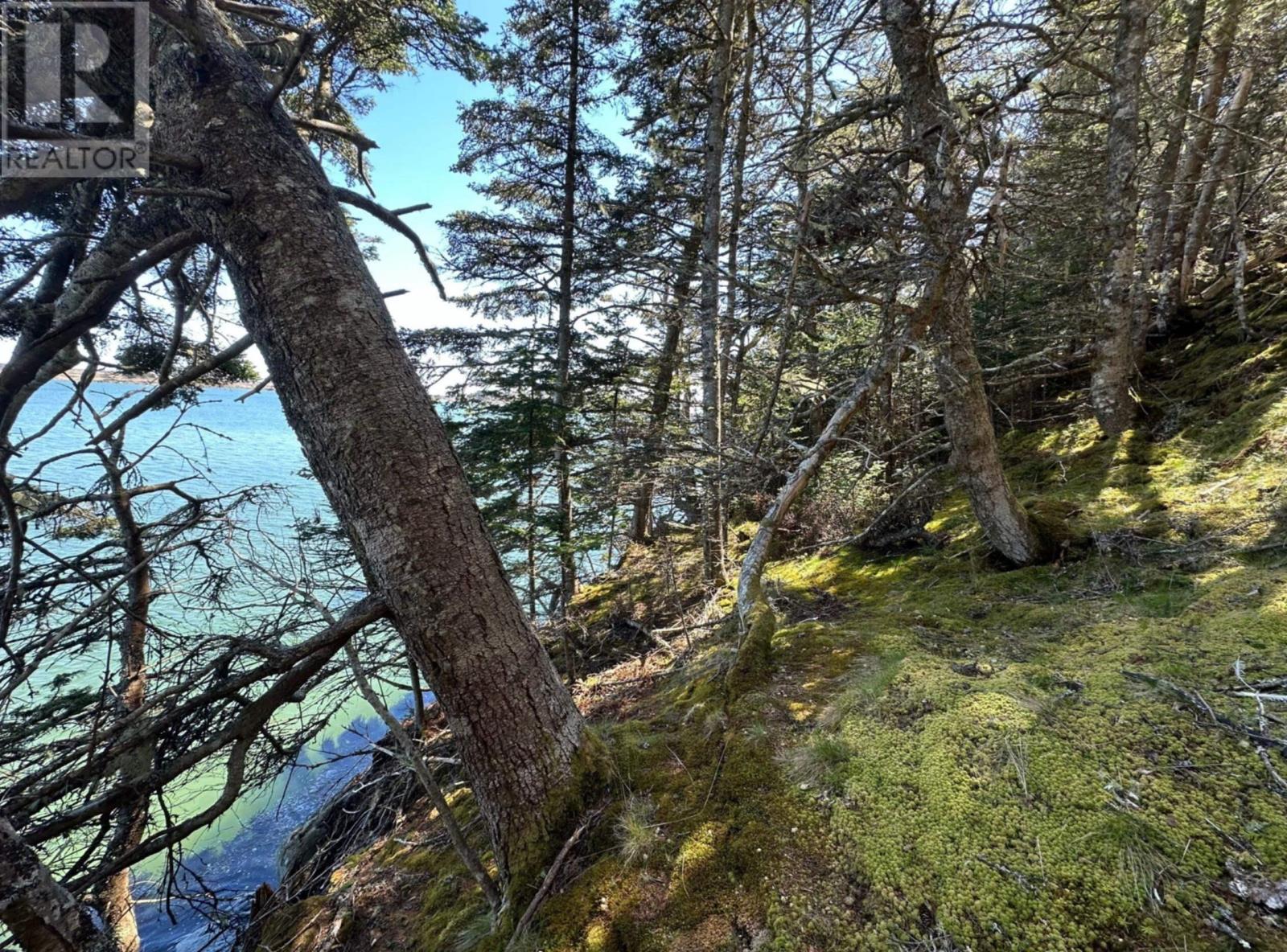 1415 Highway 304, Cape Forchu, Nova Scotia  B5A 5G7 - Photo 32 - 202528995