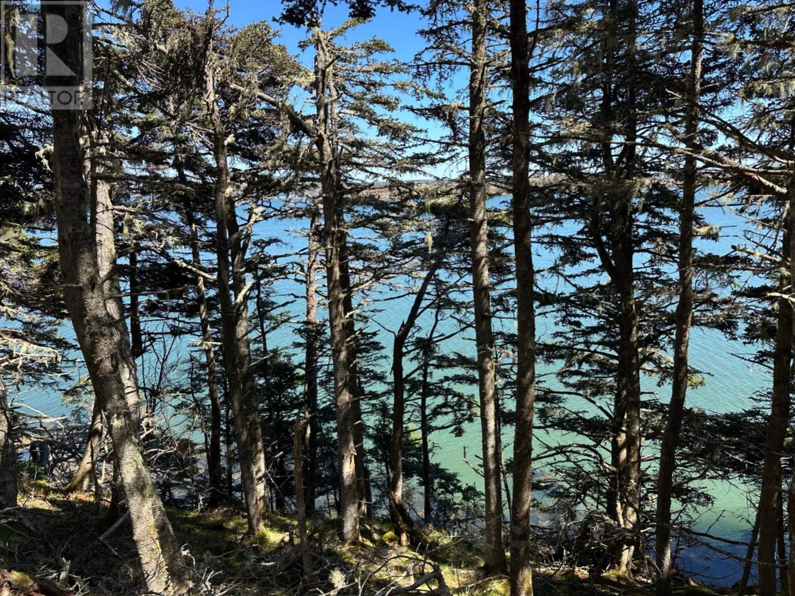 1415 Highway 304, Cape Forchu, Nova Scotia  B5A 5G7 - Photo 34 - 202528995