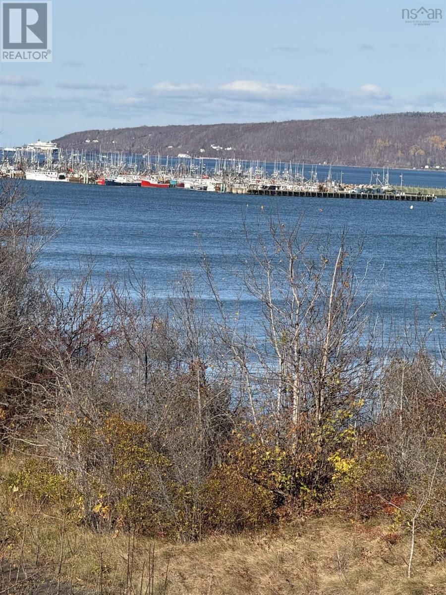 42 Montague Row, Digby, Nova Scotia  B0V 1A0 - Photo 6 - 202529027