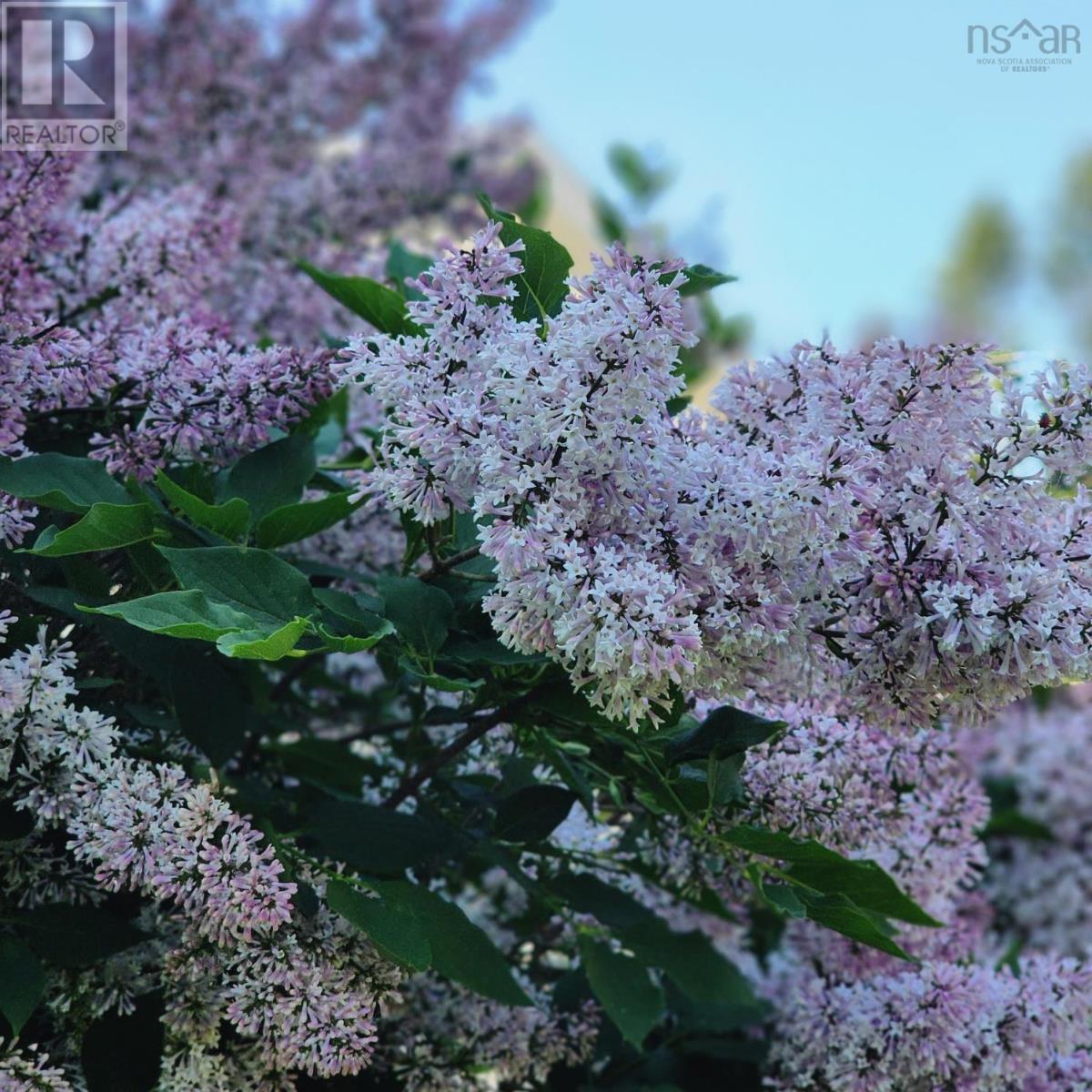 55 Oakmount Drive, Bedford, Nova Scotia  B4A 2W1 - Photo 43 - 202529033