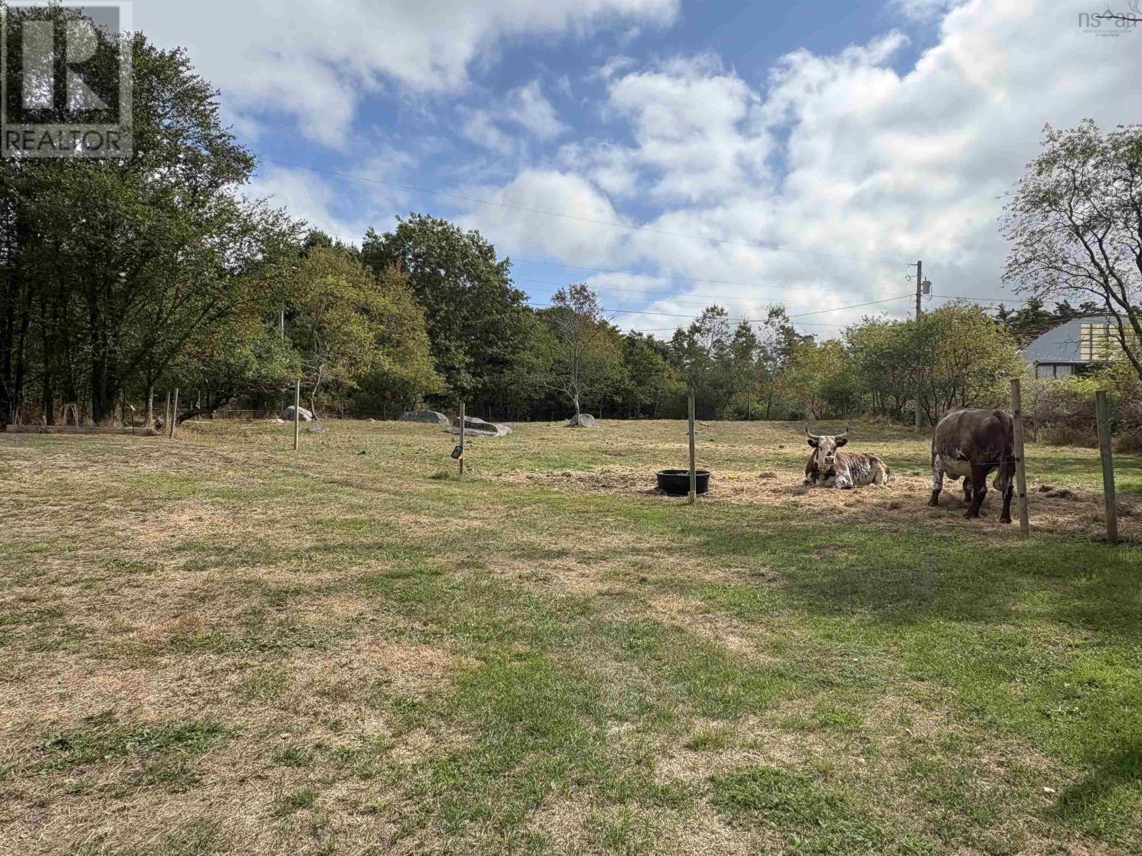 9431 Upper Clyde Road, Welshtown, Nova Scotia  B0T 1W0 - Photo 23 - 202529042