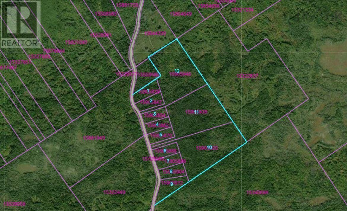 118 Acres Loch Lomond Road, Big Pond, Nova Scotia  B1J 1R4 - Photo 2 - 202529079