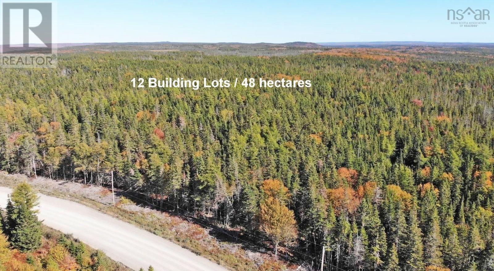 118 Acres Loch Lomond Road, Big Pond, Nova Scotia  B1J 1R4 - Photo 32 - 202529079