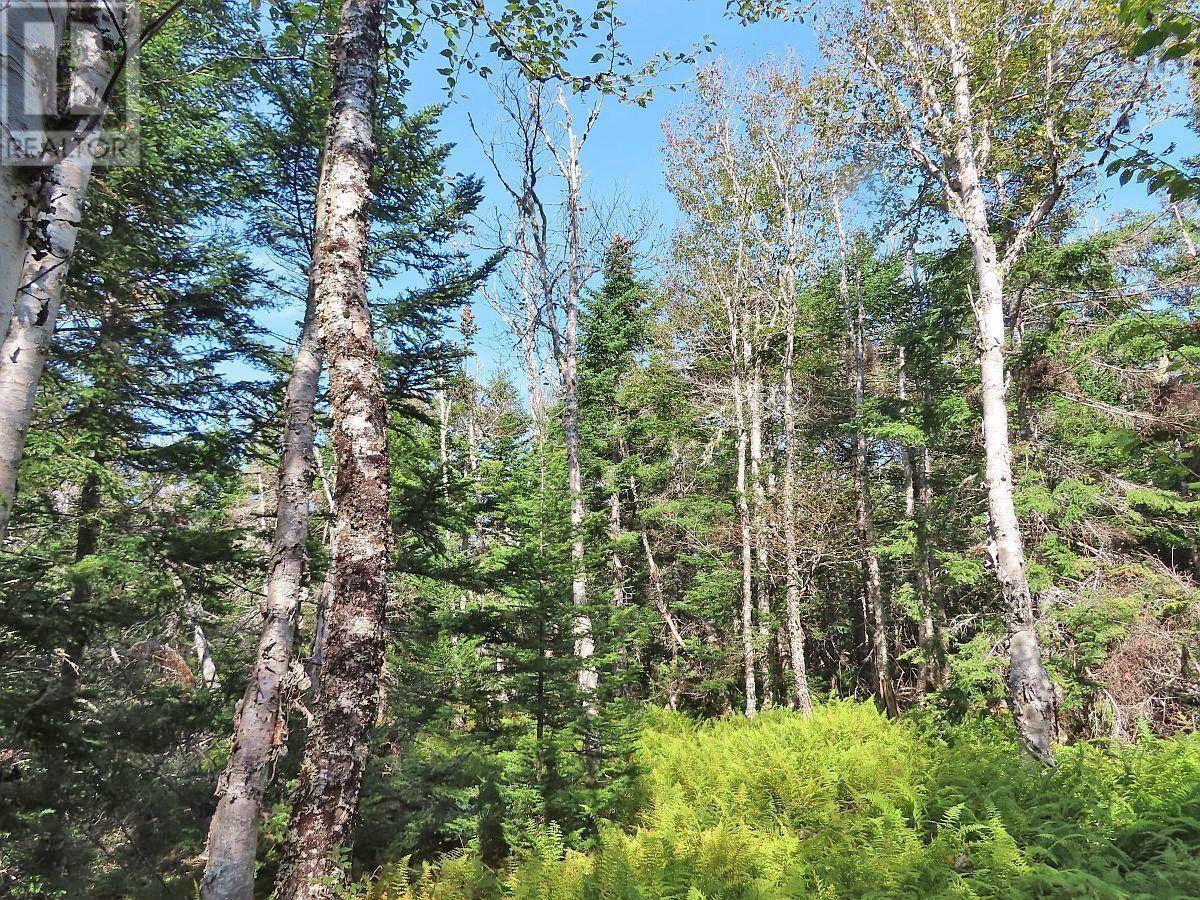 118 Acres Loch Lomond Road, Big Pond, Nova Scotia  B1J 1R4 - Photo 40 - 202529079